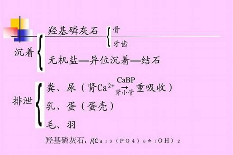 动物和植物元素含量的区别？希望有网友可以帮忙告知!