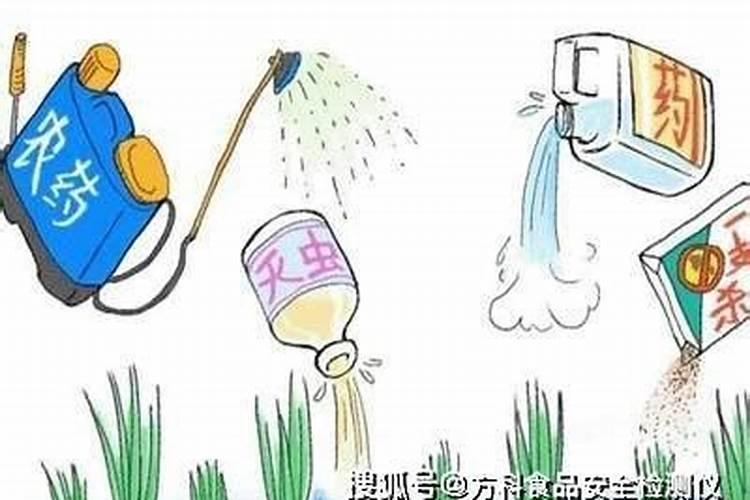 养鱼稻田如何施用氮肥