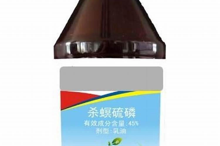 无尽夏换盆的最佳时间