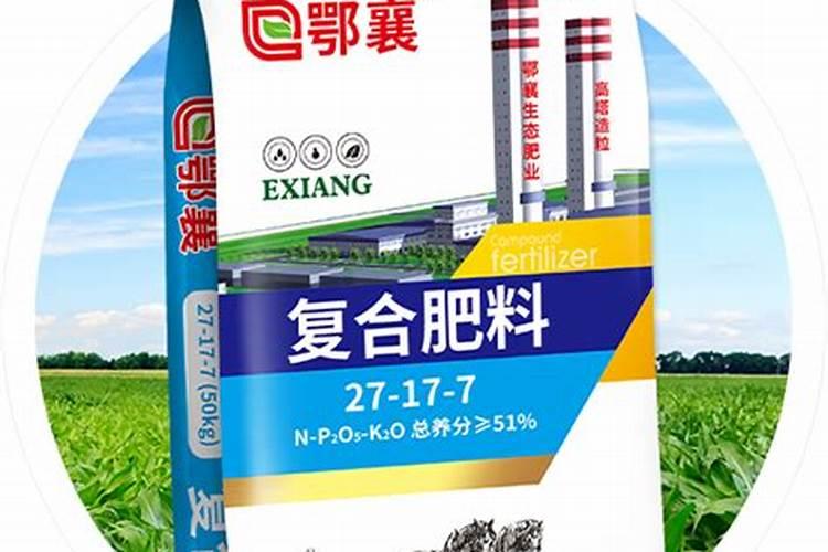 马蹄如何施肥