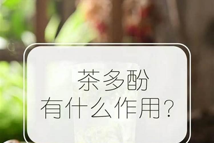 氮、磷、钾对茶树生长发育的作用