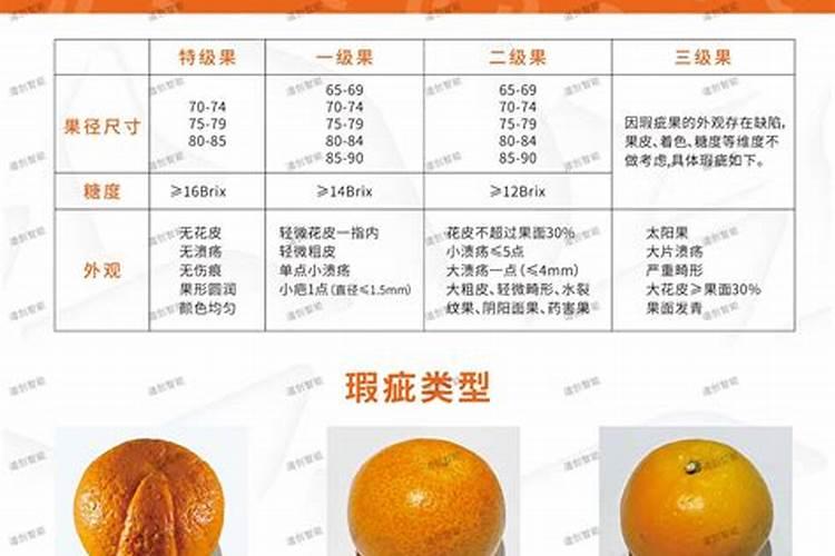 沃柑施什么肥较甜