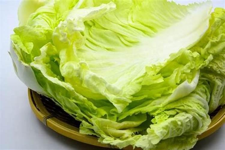 芸豆花期打什么叶面肥