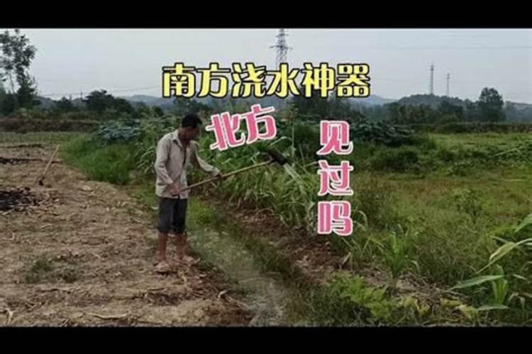 果树施肥料一天后遇到大雨,肥料的使用效果如何？