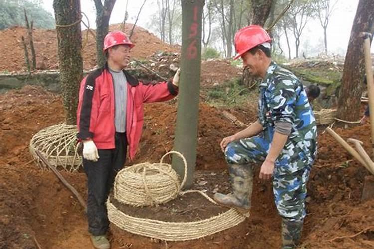 什么是强碱和弱碱的区别？