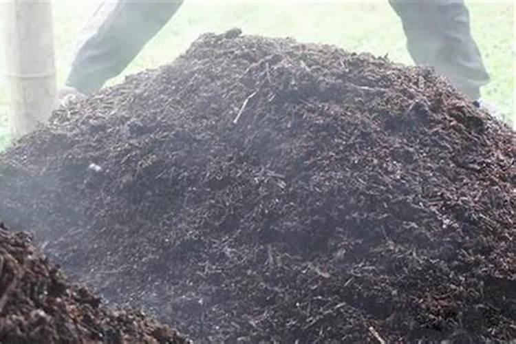 堆肥是什么