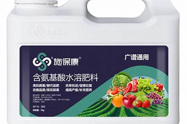 哈密瓜种植时间和方法(哈密瓜的种植时间)