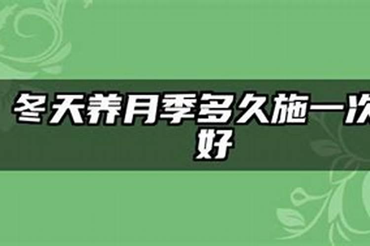 户外的盆栽月季,每天什么时候浇水最合适？