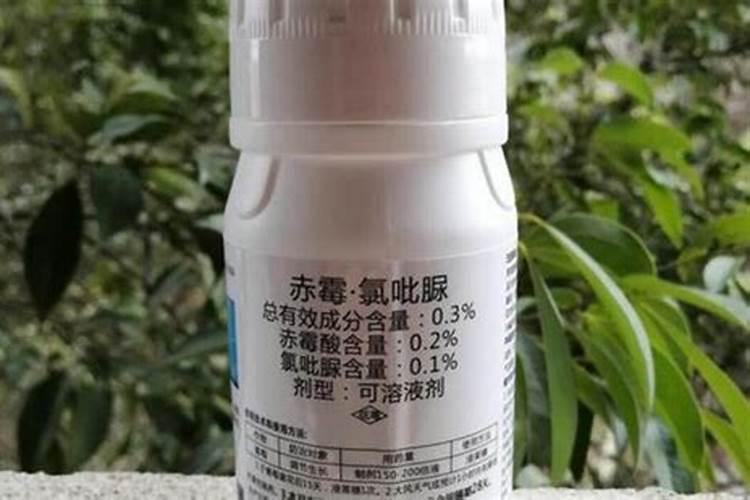 叶面肥是不是膨大剂