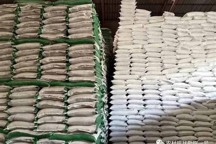 什么是叶面肥料 叶面肥料的作用原理是什么