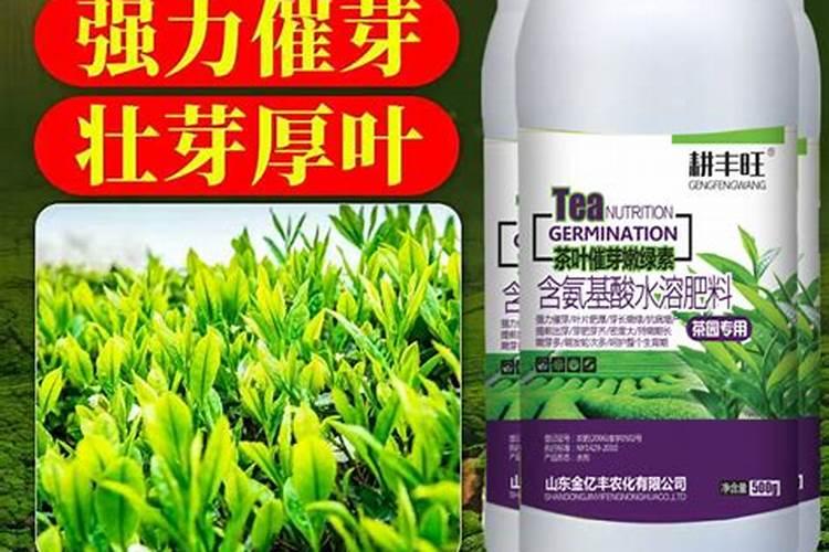 茶叶能不能使用芸苔素内脂？有什么好处和副作用？谢谢