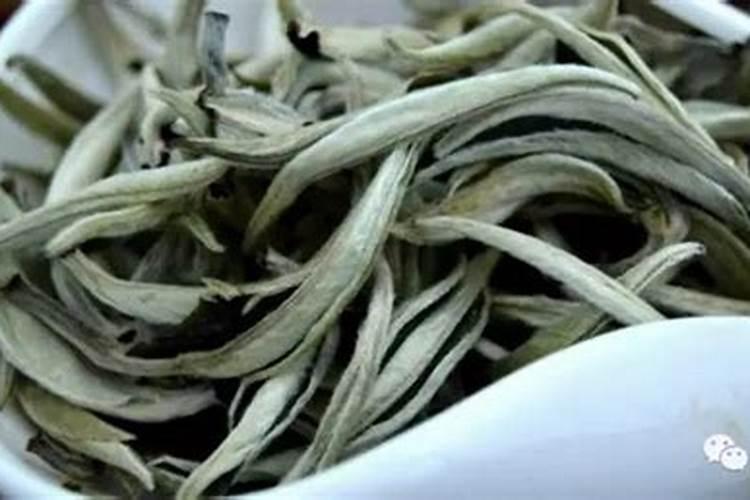 茶树能使用芸苔素吗