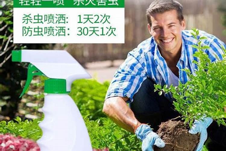 葡萄树叶下面有长像白蜘蛛网上面晒斑喷什么药？