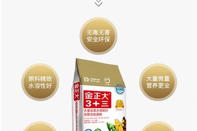 朱顶红叶子太长太大(我养的朱顶红叶子怎么那么长)