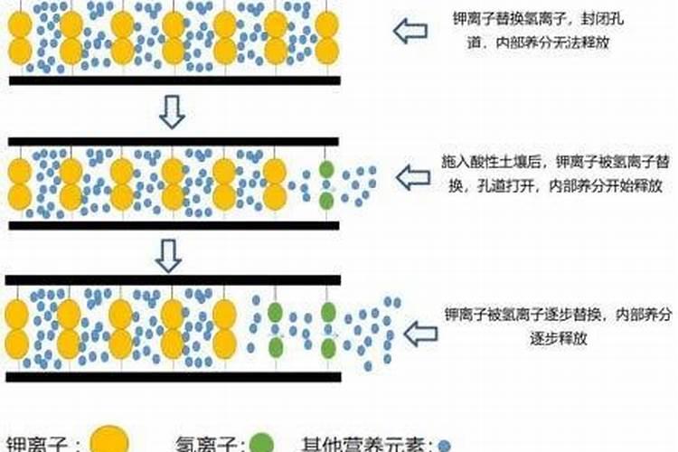 酸性土壤改良方法用什么肥 土壤酸性过高怎么施肥改良