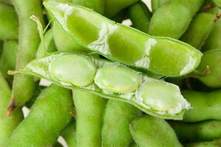 种毛豆到底要不要施肥 施什么肥好
