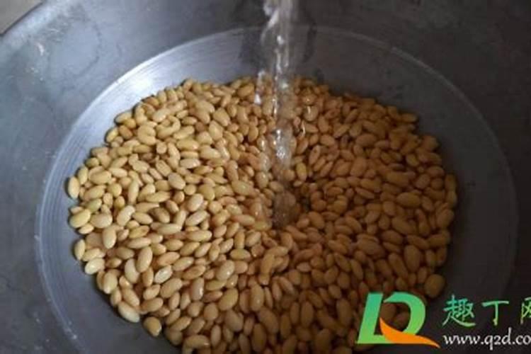 煮熟的豆子能不能做肥料用来种菜