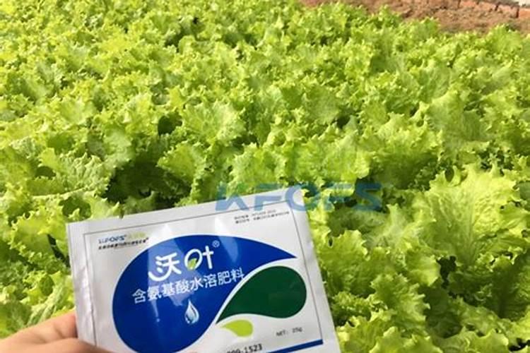 刚刚移栽的樱桃树可以使用叶面肥吗？怎样使用？
