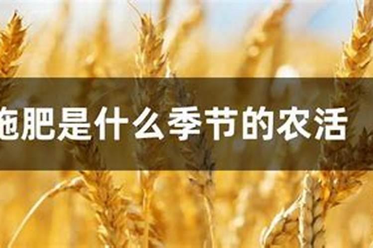 .花生播种对施肥有什么要求？