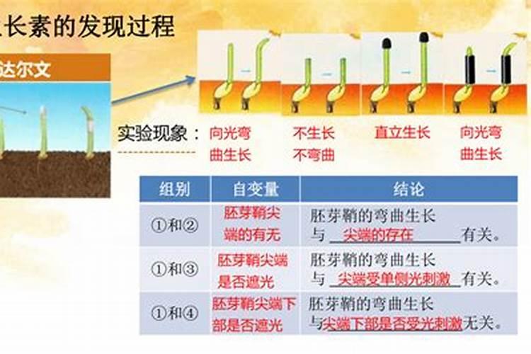 磷肥对植物的作用与功效