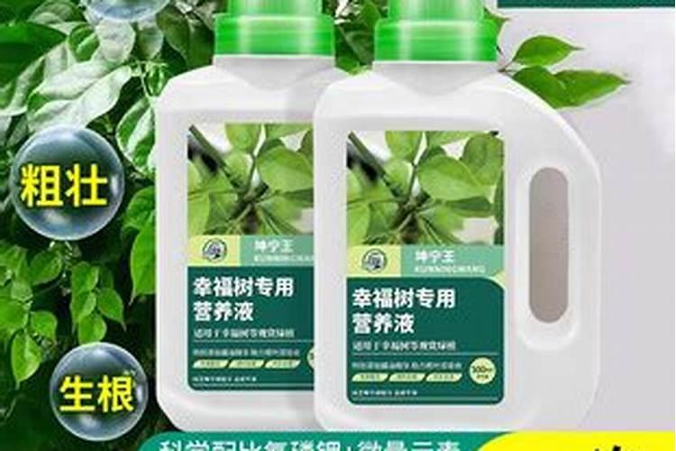 氮磷钾复合肥是什么肥料