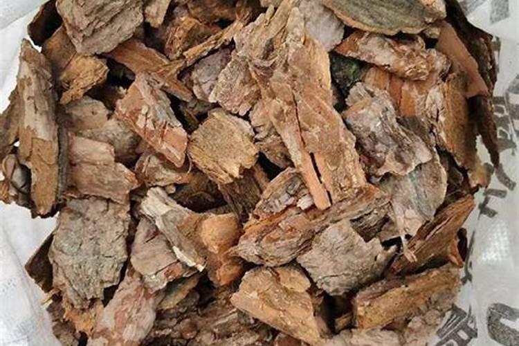 月季花肥用什么合适 肥料制作与使用方法
