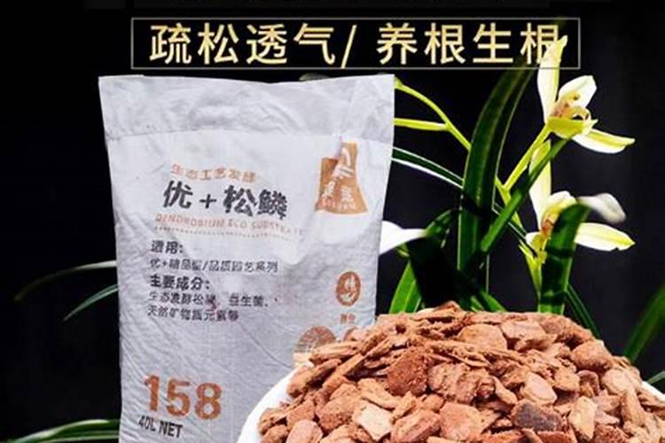 如何给月季花施肥