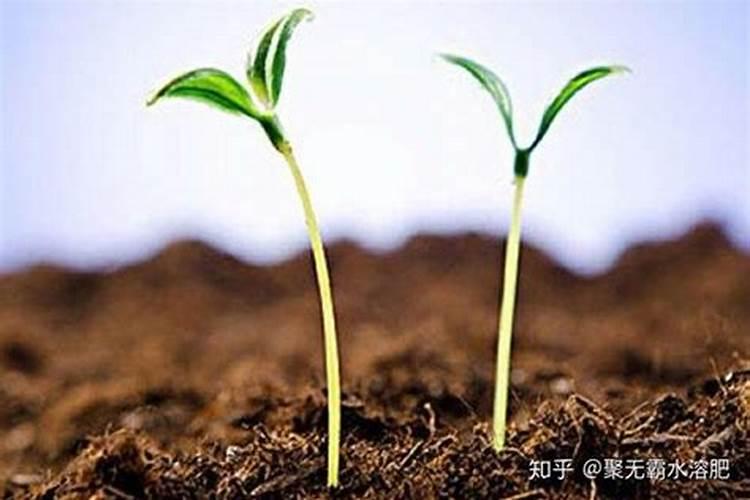 什么叫不开沟施肥