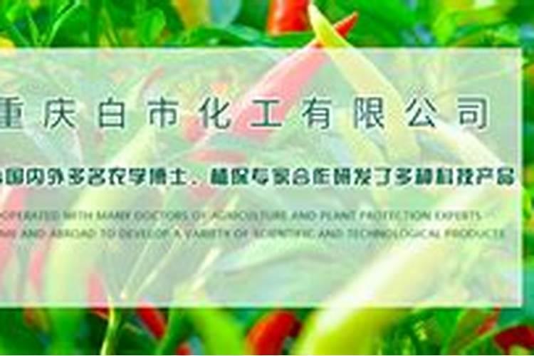 重庆代收大蒜货源推荐