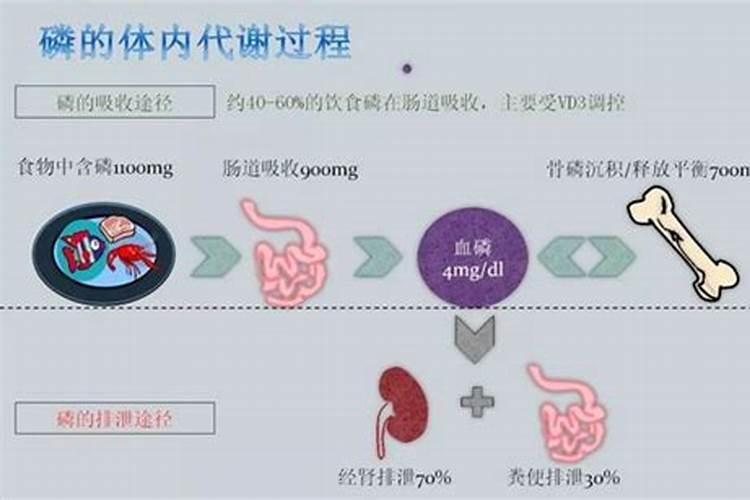 大豆施肥氮磷钾比例 怎么施肥更合理