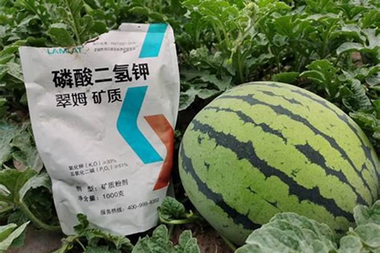 水溶性肥料市场研究报告