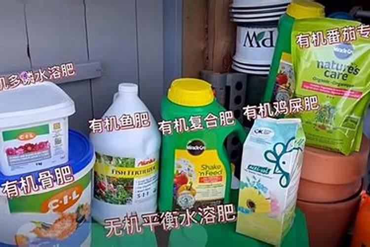 如何给植物施肥 怎么给植物施肥