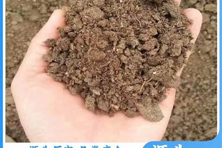 松土肥料有哪些疏松土壤用什么肥料