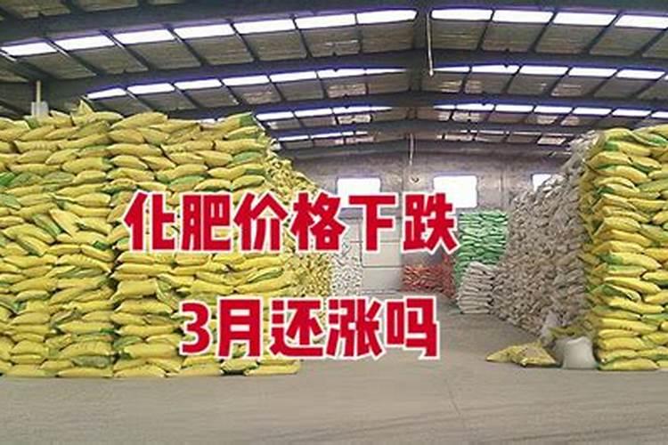 跑马水是什么