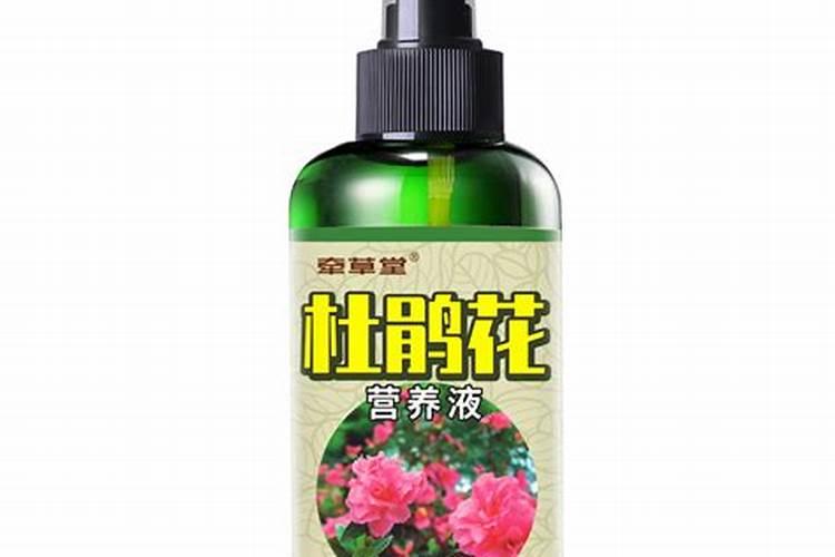 种橄榄施什么肥