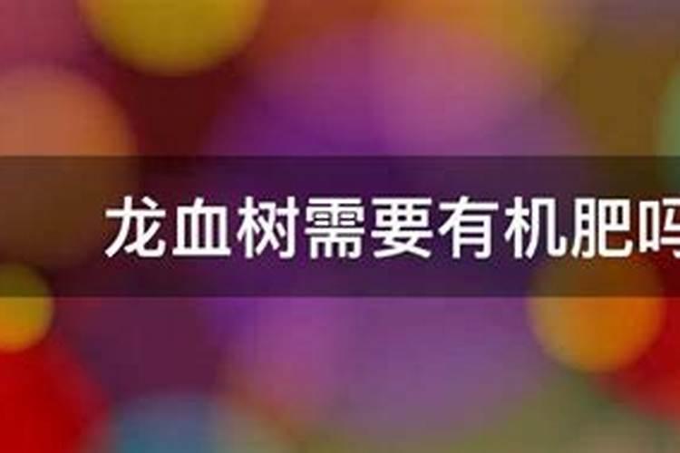 龙血树需要有机肥吗 龙血树施肥的肥料选择