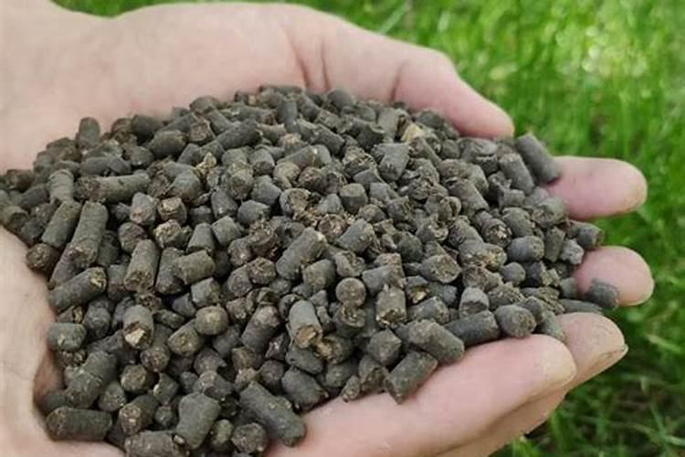苗木种植一般用什么肥料