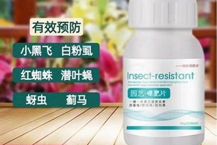 硼肥防虫片靠谱吗