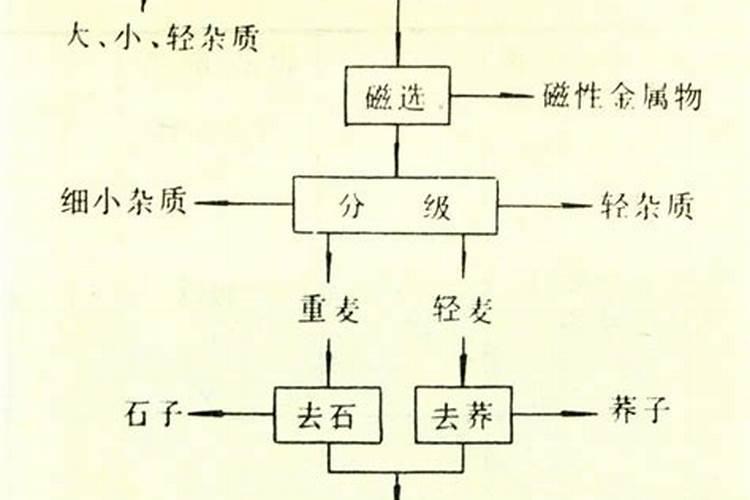 麦子在发霉之后,能喂鸡喂猪吗？如何处理才是合理的？