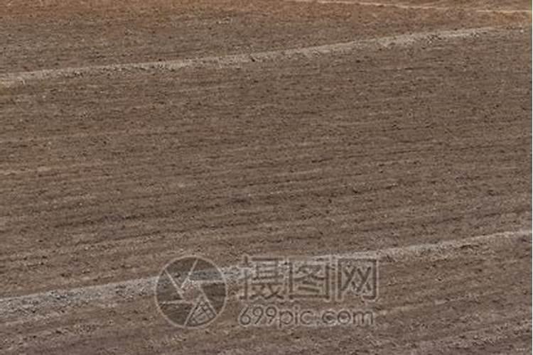 茄子缺镁症是什么原因造成的？应该怎么办呢？
