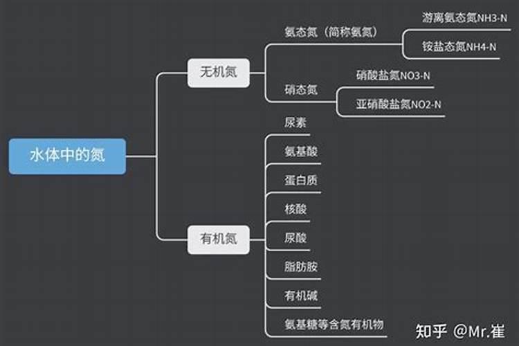 硝态氮肥有哪些