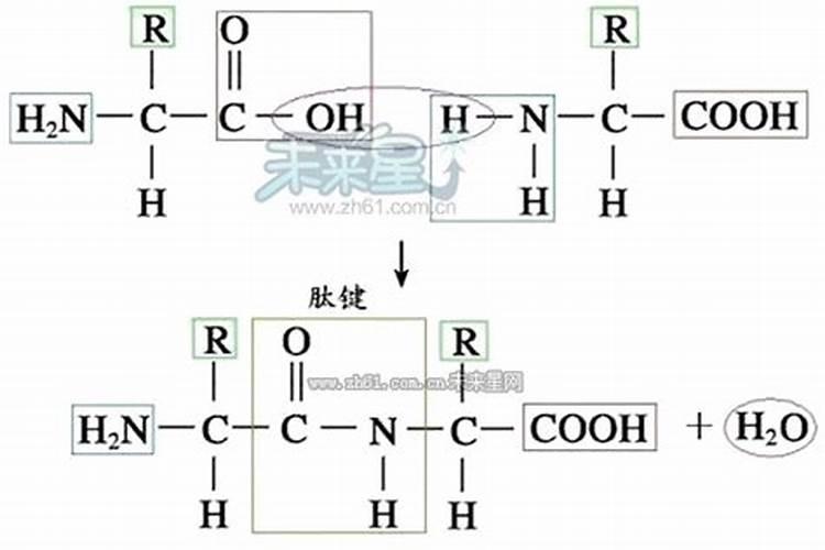 氮肥、磷肥、钾肥的作用是什么？