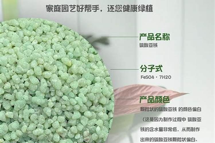 硫酸亚铁可以浇什么植物？