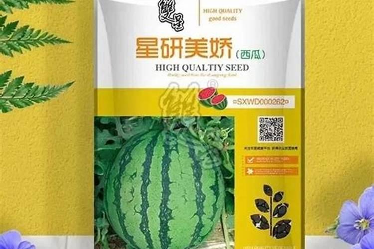 西瓜施肥技巧