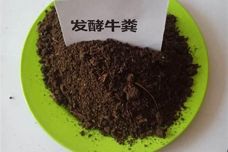 羊粪怎么发酵水溶肥？