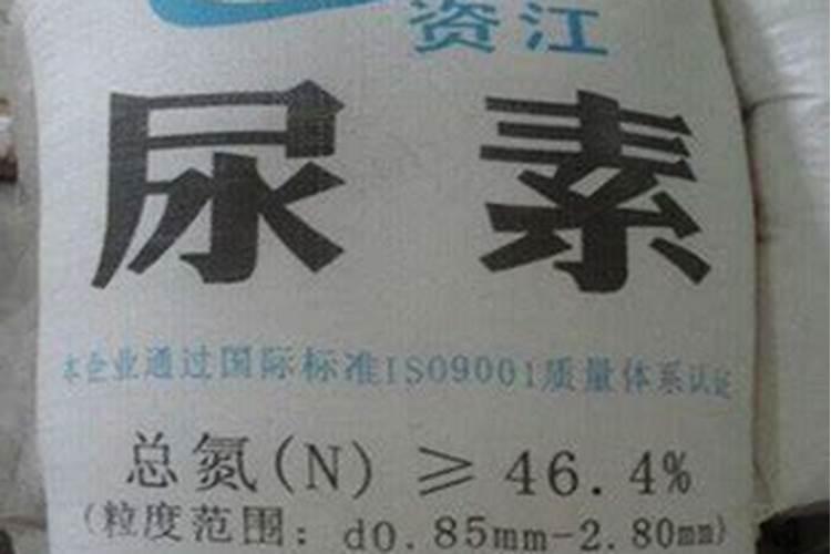 尿素浇水好还是埋土好