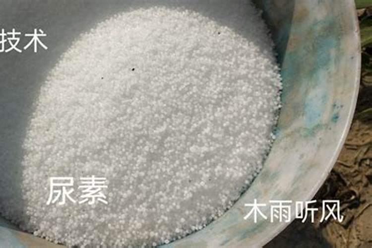 油菜什么时期施尿素 油菜什么时期施尿素比较好