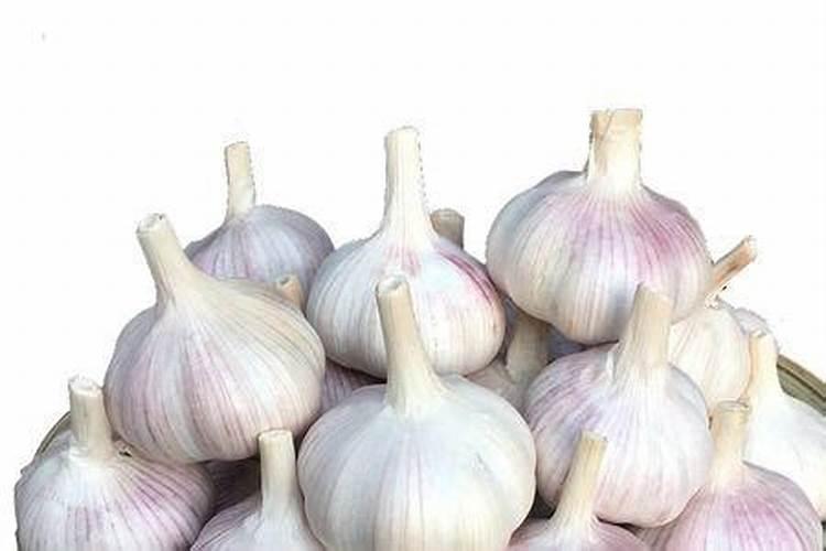 草莓挂果期用什么肥料