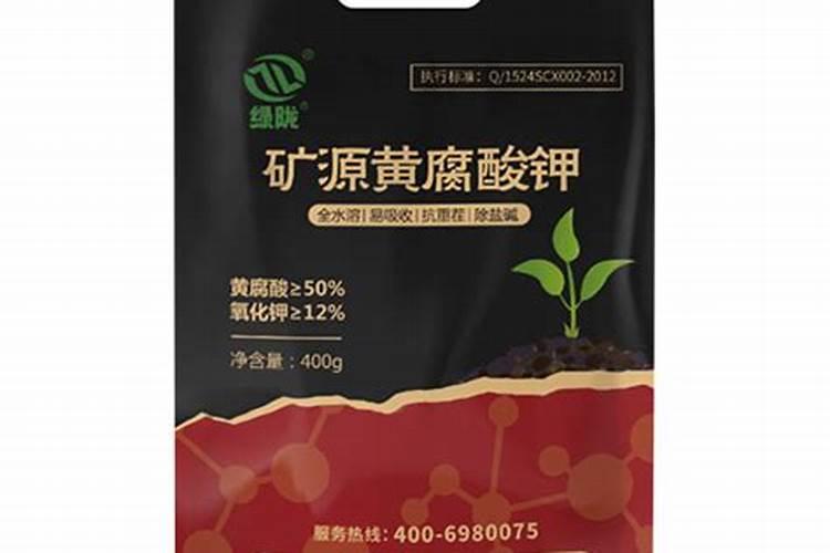 怎么养文竹又绿又有光泽(分享养文竹小妙招)