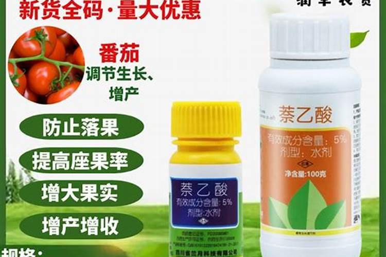 番茄处在开花期用哪一款叶面肥恰当？